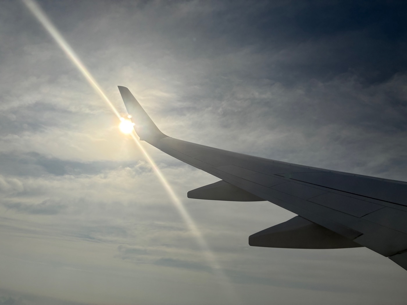JAL 太陽