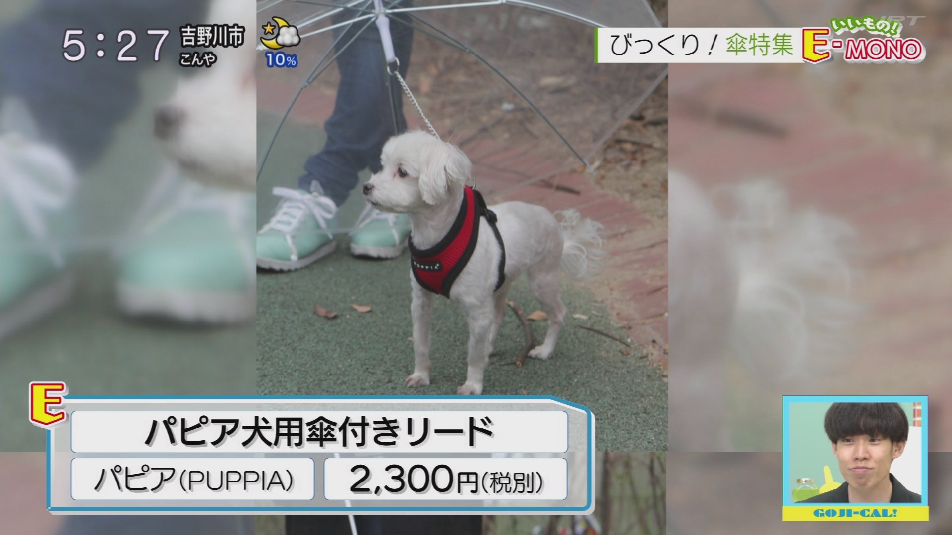 f:id:urahimono:20200816081620j:plain f:id:urahimono:20200816081620j:plain