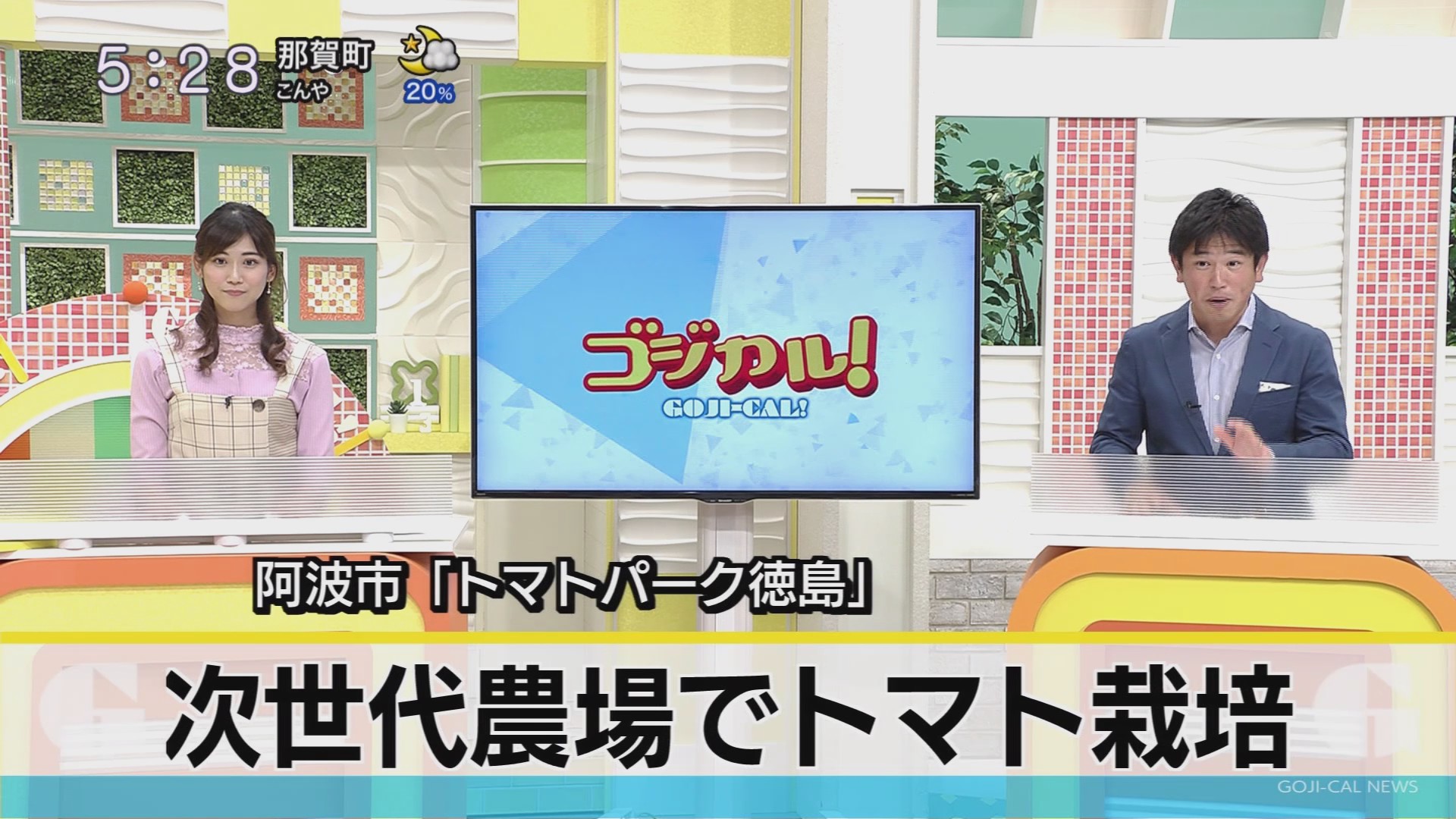 f:id:urahimono:20201122105722j:plain