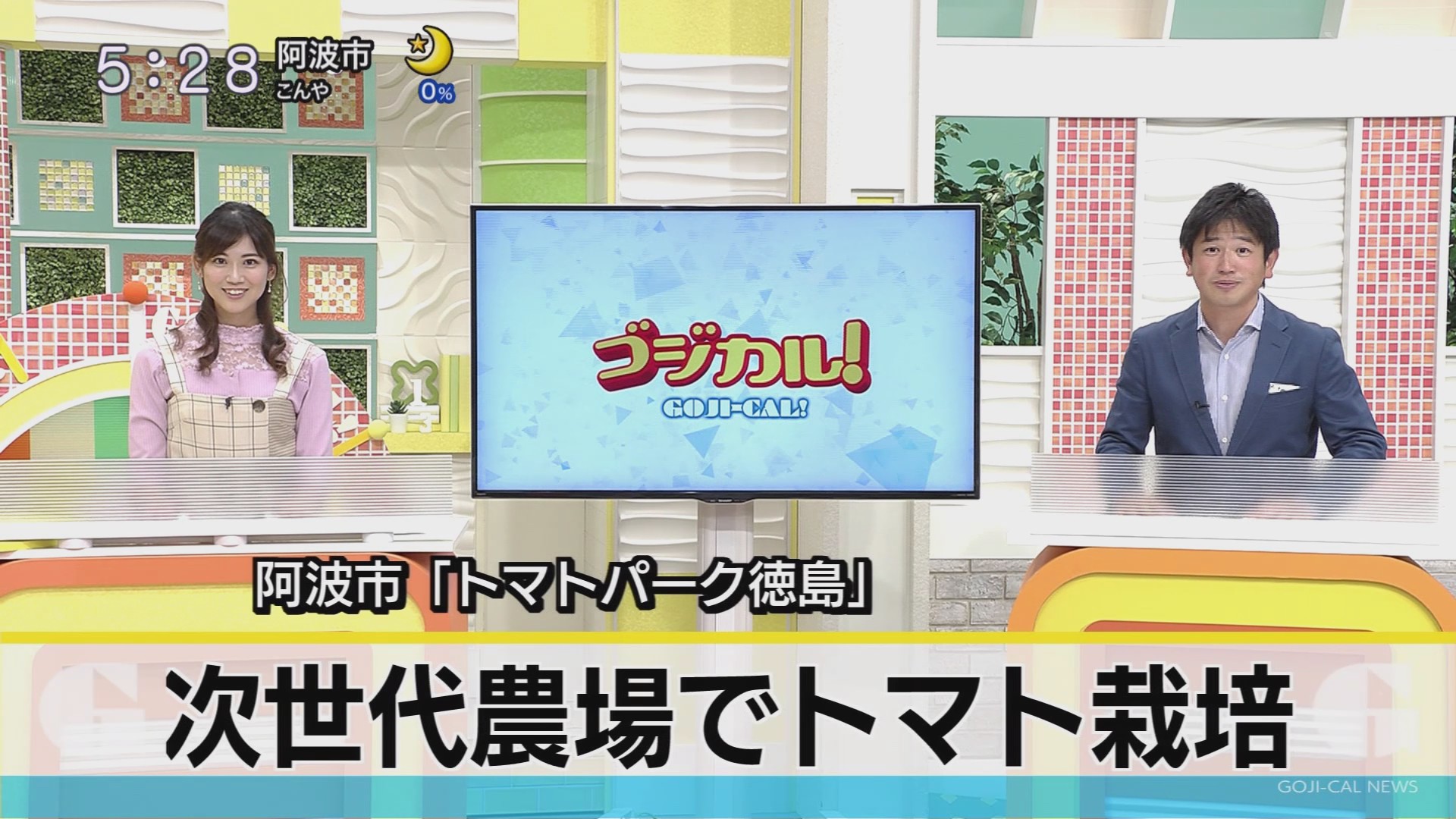 f:id:urahimono:20201122105727j:plain