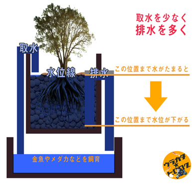 オートサイフォンの断面を簡素化したイラスト