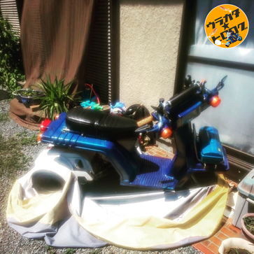強風によりズタズタボロボロになったNEVERLAND製のバイクカバーの写真(筆者撮影)
