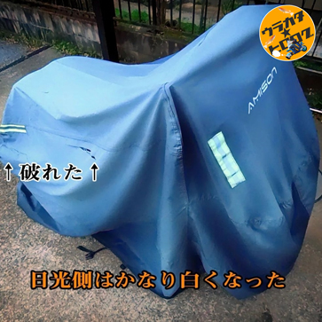 色落ちしたAMISON製のバイクカバーの写真(筆者撮影)
