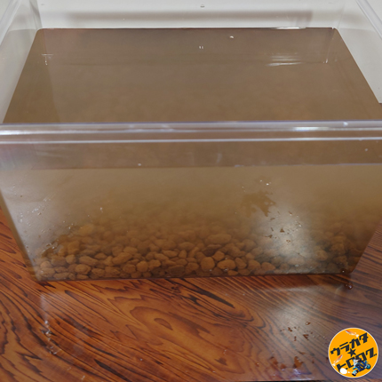 赤玉土入りの水槽に水をそそいだ直後の水槽の様子
