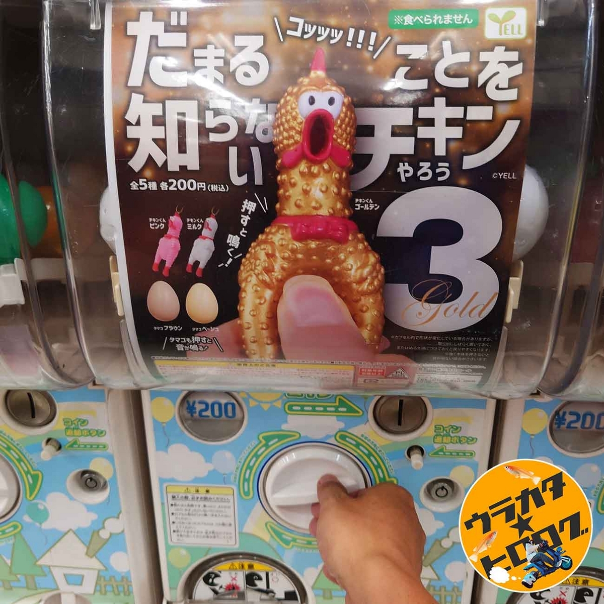 エールから発売されているカプセルトイ”黙る事を知らないチキンやろう３(200円)”のガチャガチャハンドルを回す筆者の手