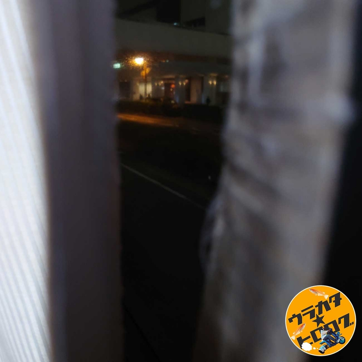 夜行バス・キラキラ号ではカーテンで閉め切られており、外を見る事ができません(筆者撮影)