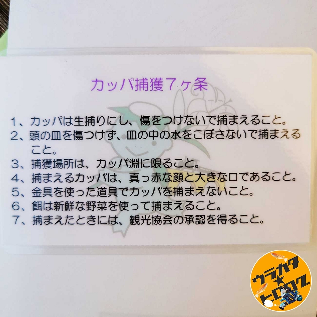 カッパを捕縛する許可証裏面(筆者所有のカッパ捕縛許可証の裏面の写真)