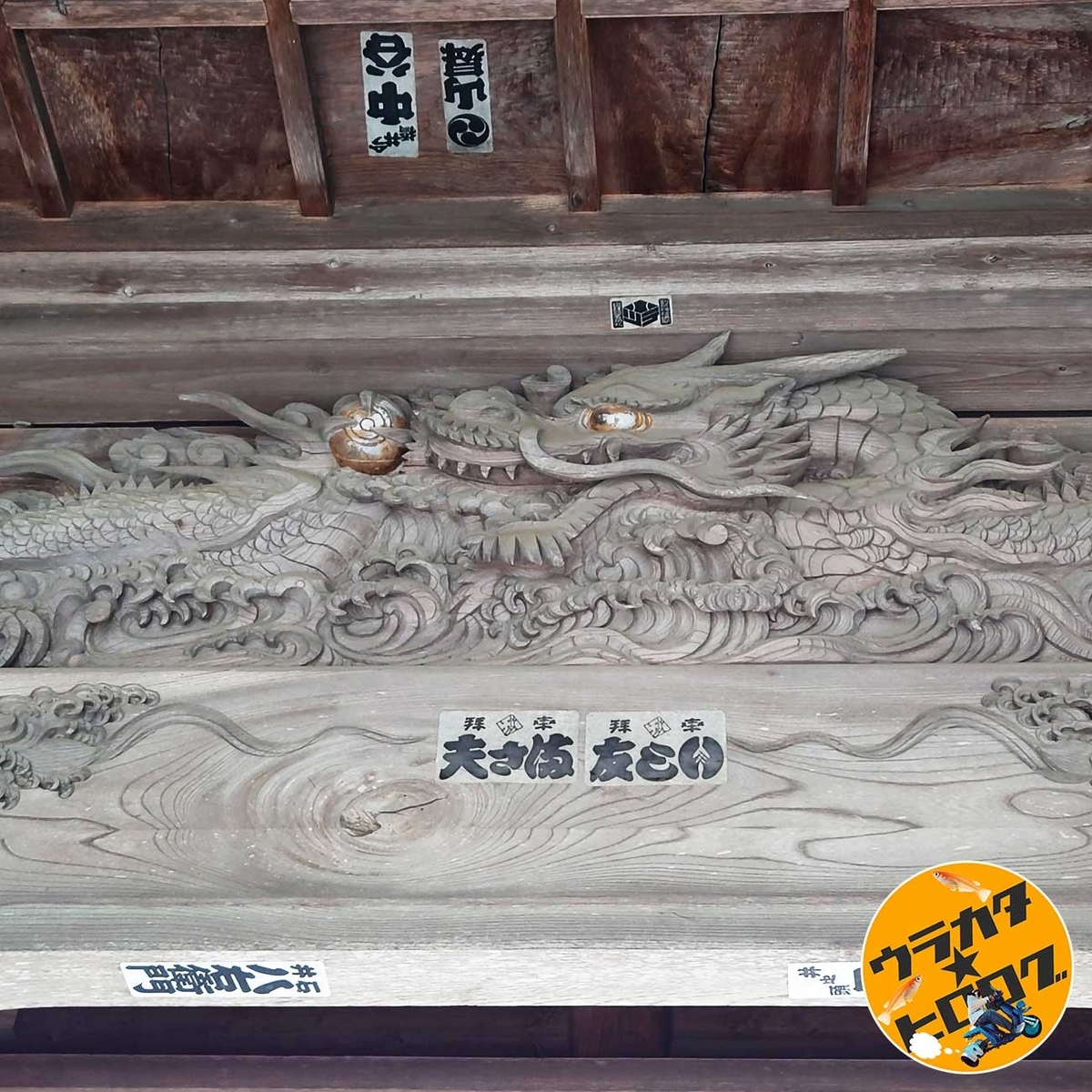 常堅寺の山門の龍の彫り物(筆者撮影)