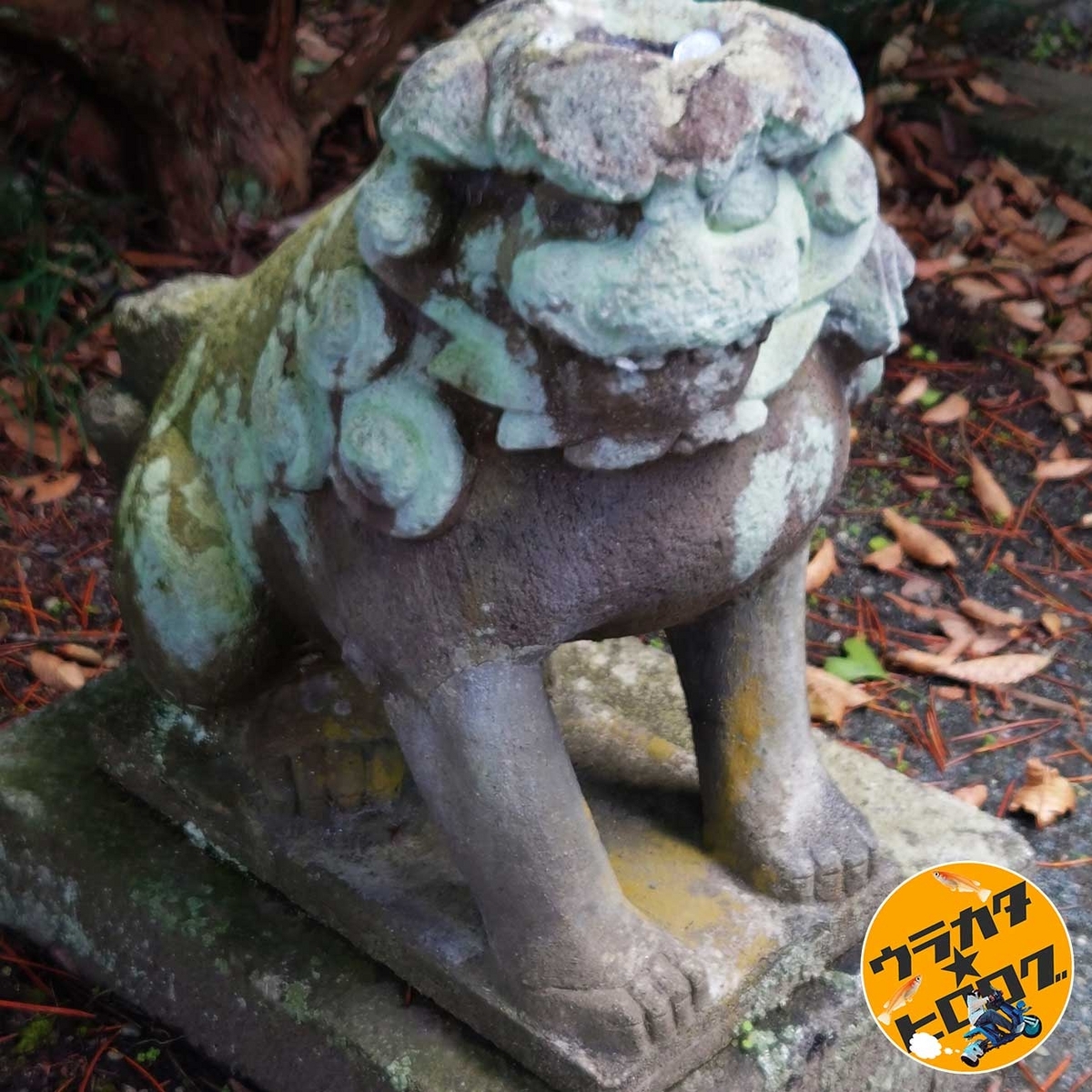 常堅寺のかっぱの狛犬(吽形)(筆者撮影)