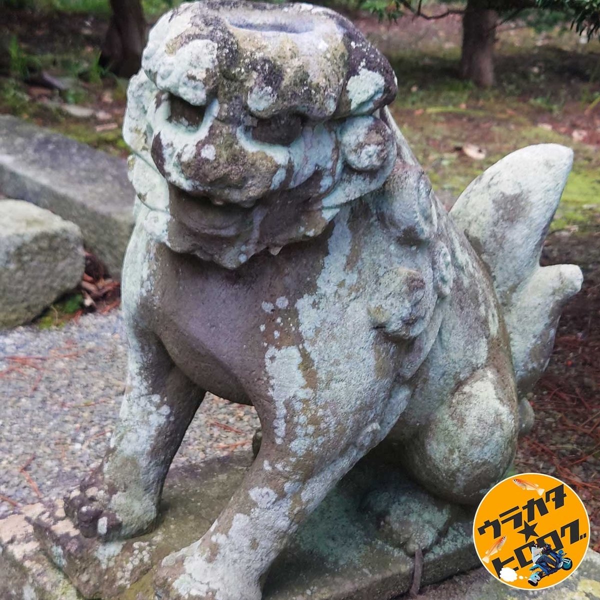 常堅寺のかっぱの狛犬(阿形)(筆者撮影)