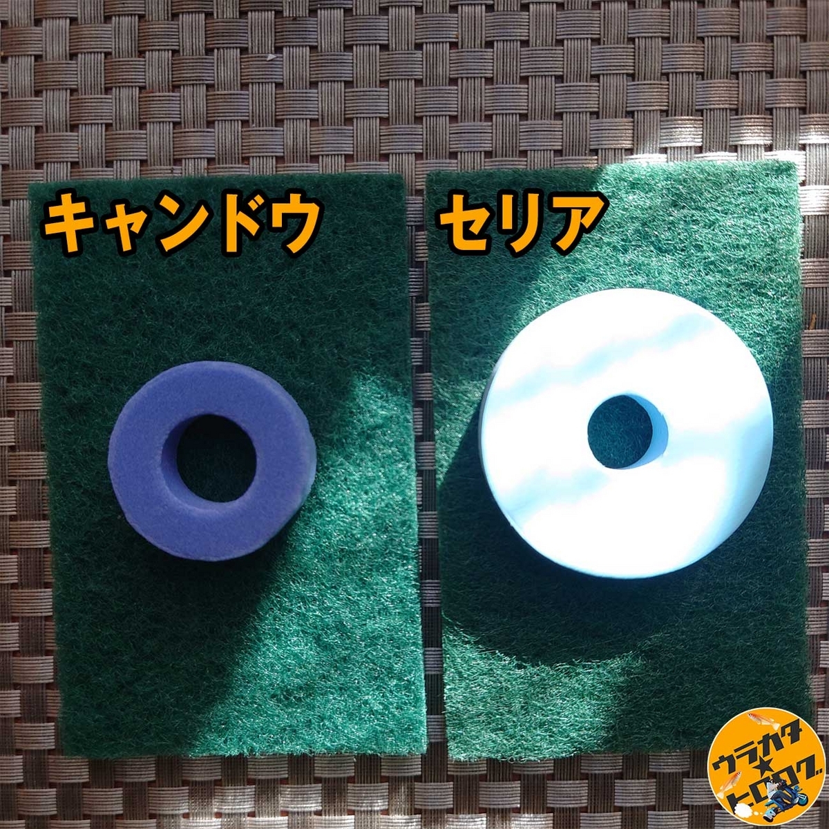 キャンドゥとセリアのそれぞれで販売されているメダカの産卵床を並べて比較している様子(筆者撮影)