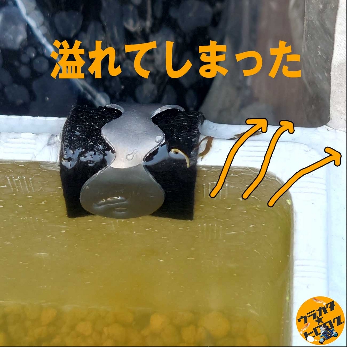 セリアの水位調整シートでは、溢水を完全に防止する事が出来ない具体例(筆者撮影)