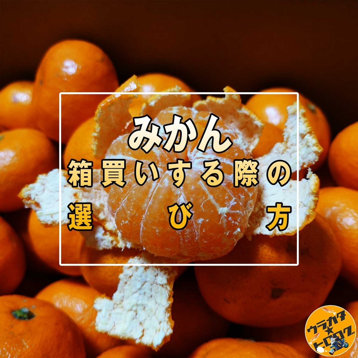 選び方】箱でみかんを買うときの注意点を知っていれば激甘みかんの 