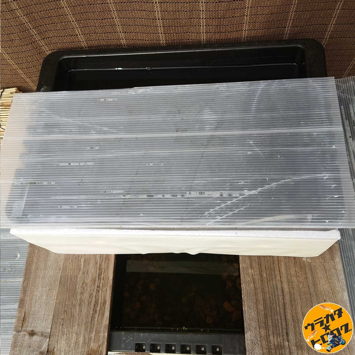 メダカ飼育の為に上部をプラダン・側部を発泡で越冬に向けての防寒を施したNVBOX#13の写真(筆者撮影)