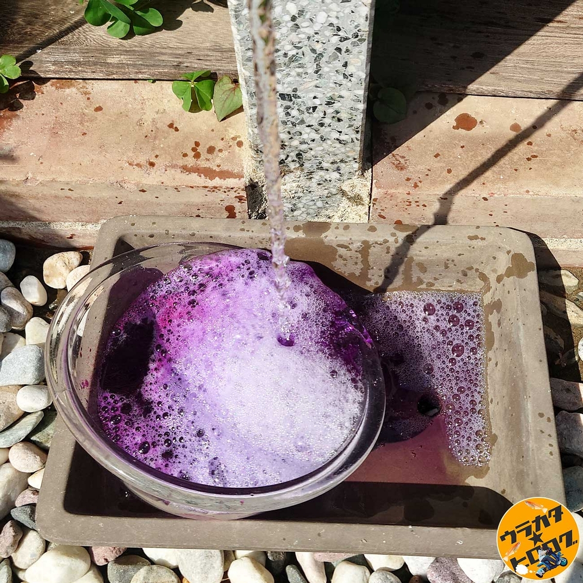 リトマス試験用溶液を大量の水で流して排水している様子(筆者撮影)