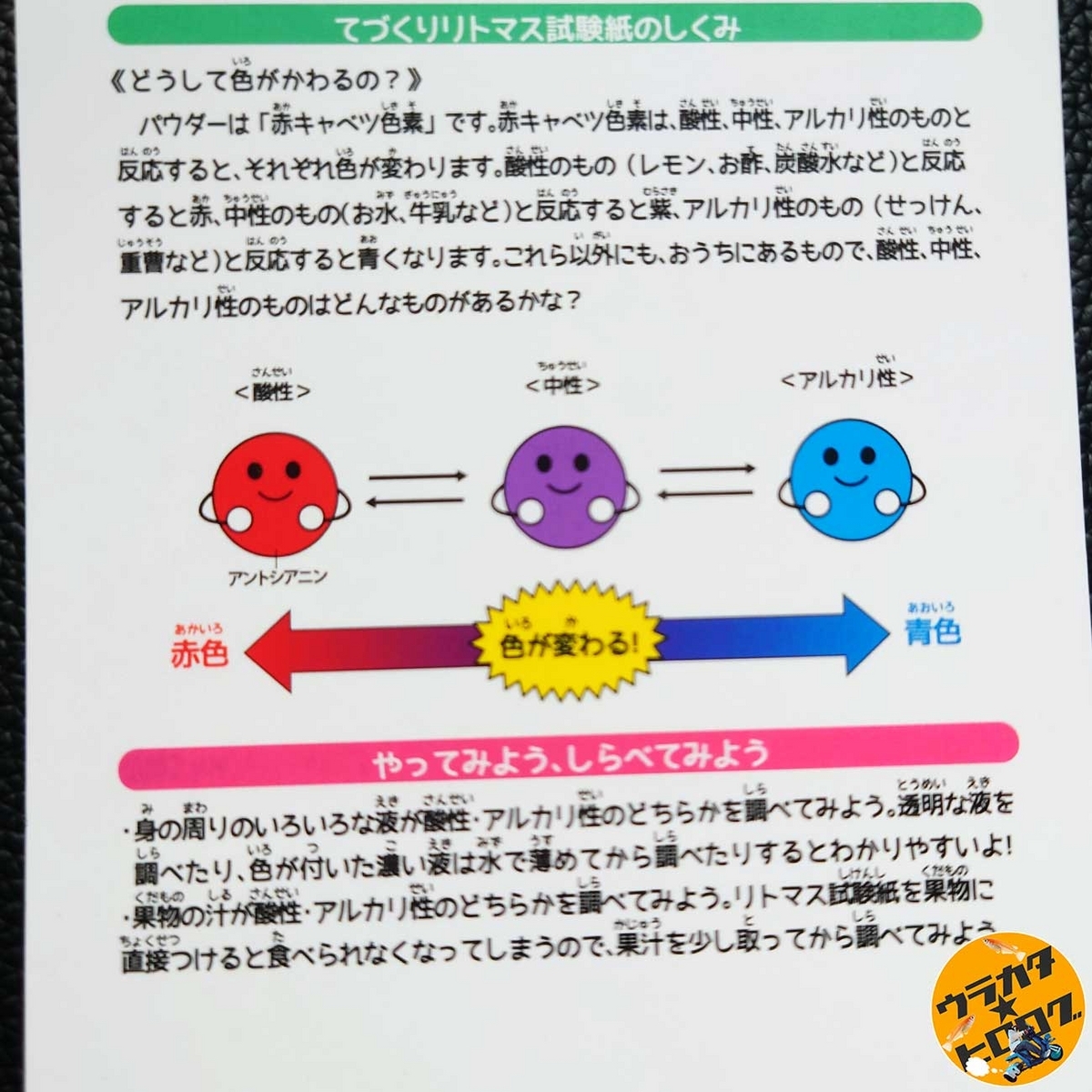 ダイソーで販売されているリトマス試験紙DIYキットの説明書(筆者撮影)
