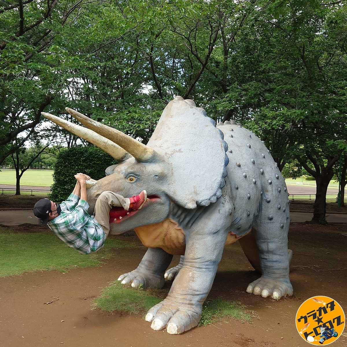 茨城県坂東市の八坂公園にいるトリケラトプスに戦いを挑む筆者(専属カメラマンによる撮影)