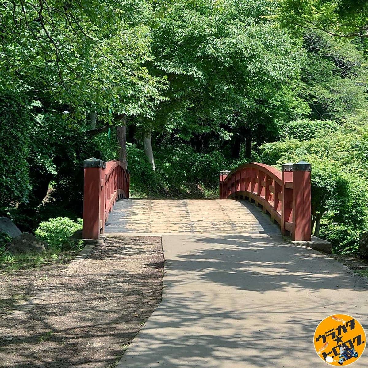 茨城県坂東市の八坂公園にある朱色の小さな太鼓橋(筆者撮影)