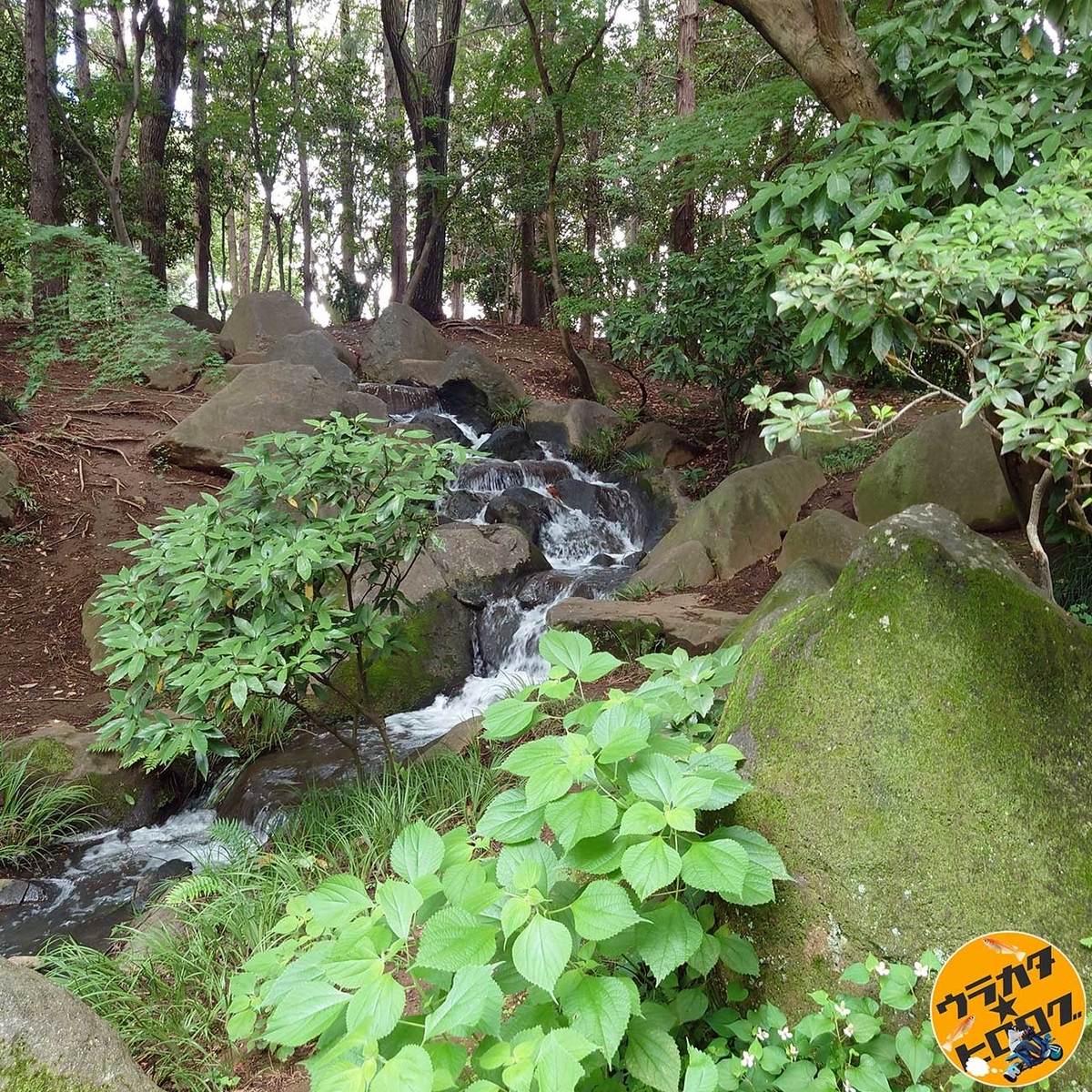 茨城県坂東市の八坂公園の山道にある滝(筆者撮影)