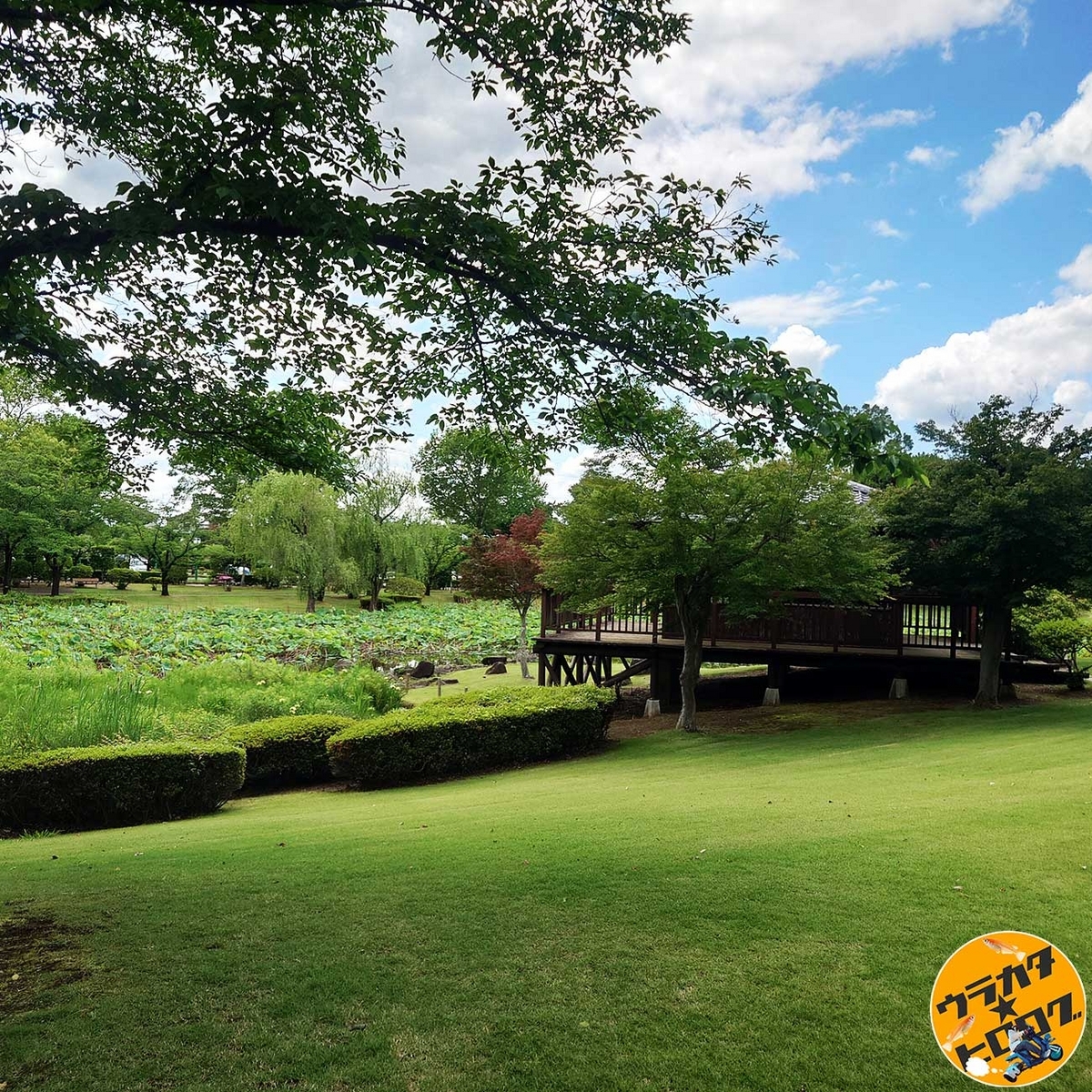 茨城県坂東市の八坂公園の蓮池の横のあずまやは臭くない