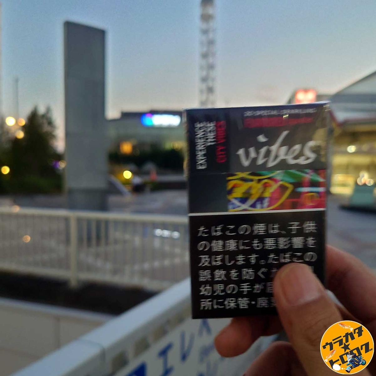 盛岡に到着して撮った写真（筆者撮影）
