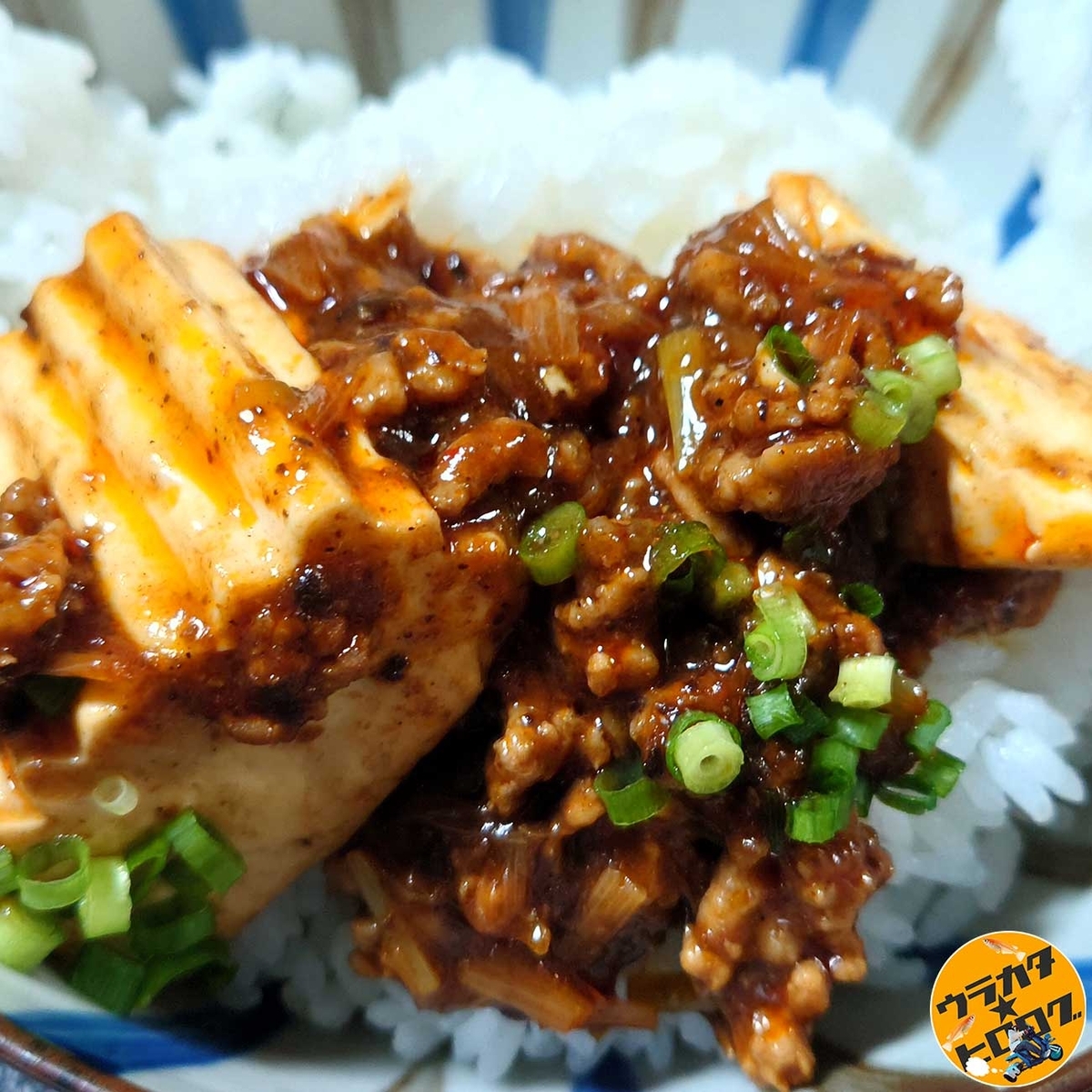 筆者が料理した麻婆豆腐を白米に乗せた麻婆丼（筆者撮影）