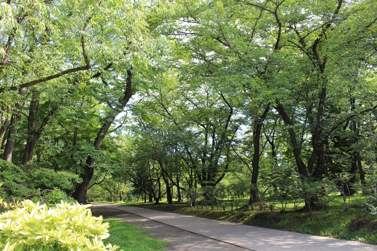 f:id:urakawathumiki:20200921212353j:plain