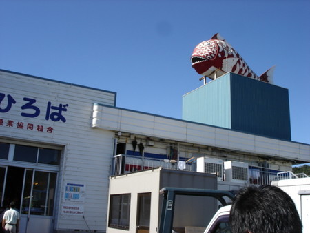20061007142639