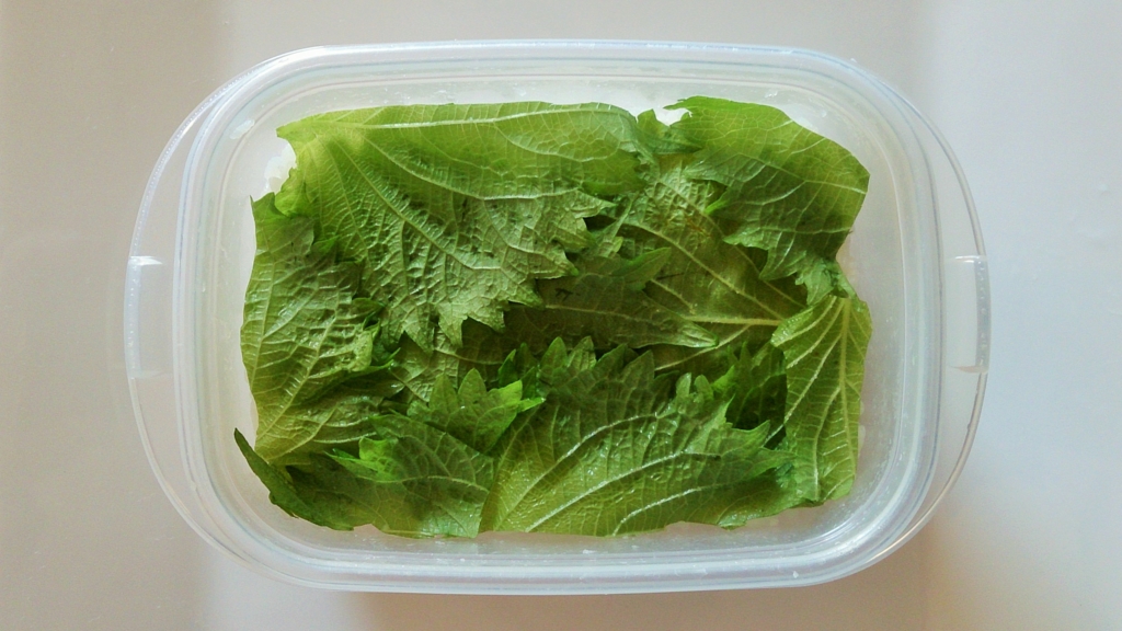 f:id:uralatokyo:20150713103837j:plain