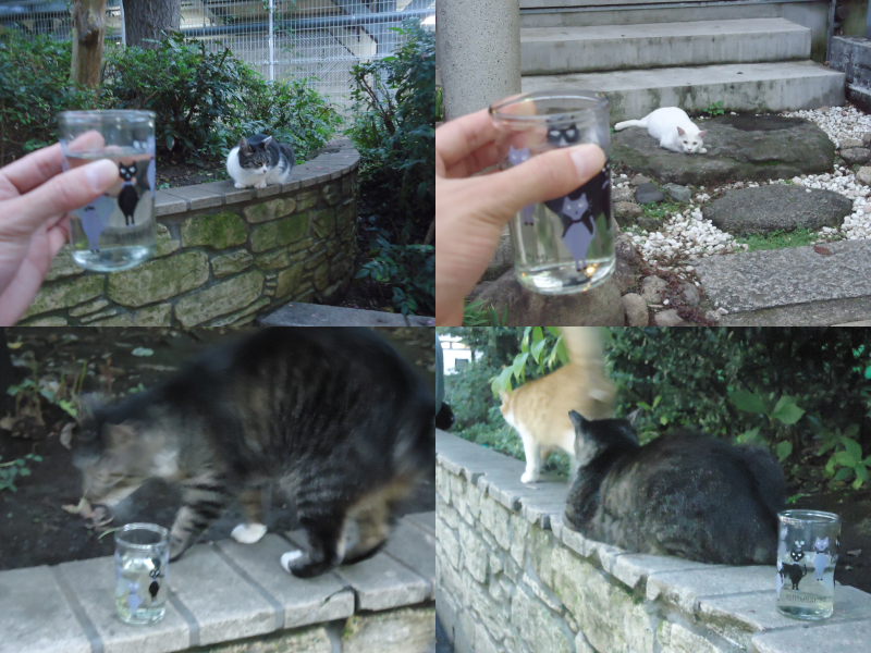 f:id:uralatokyo:20150903222754j:plain f:id:uralatokyo:20150903222754j:plain