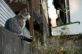 f:id:uralic:20120126011400j:image:medium