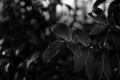 f:id:uralic:20120205225528j:image:medium