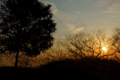 f:id:uralic:20120211001458j:image:medium