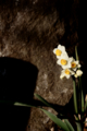 f:id:uralic:20120216011206j:image:medium