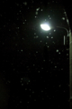 f:id:uralic:20120220234255j:image:medium