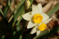 f:id:uralic:20120225001841j:image:medium