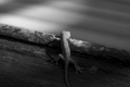 f:id:uralic:20120320235959j:image:medium