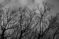 f:id:uralic:20120323001316j:image:medium