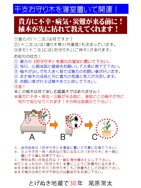 f:id:uranai_ohara:20210726134645p:plain