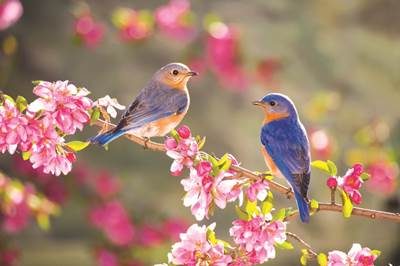 12月22日はエネルギーのリセットと再スタートの日の「冬至」！未来への決断をして春分へ