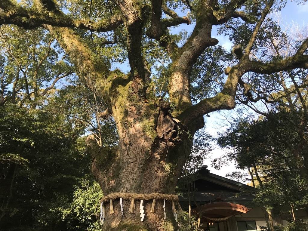 f:id:uranairen:20190228191051j:plain f:id:uranairen:20190228191051j:plain