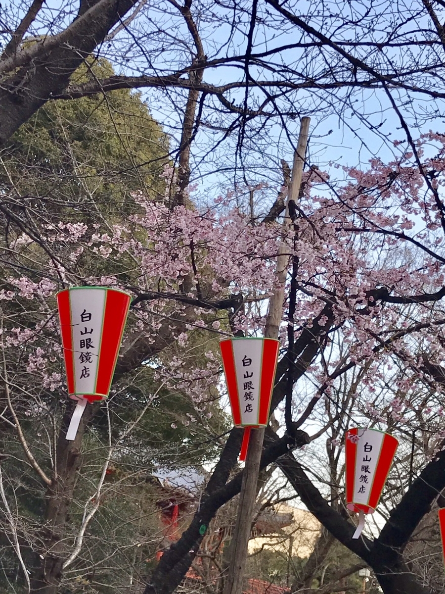 f:id:uranairen:20190318150755j:plain f:id:uranairen:20190318150755j:plain