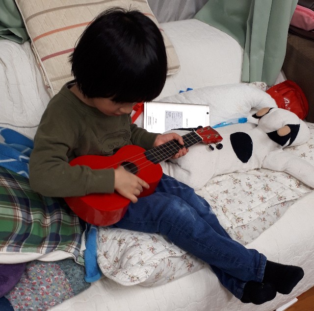 f:id:uranawanaii:20190115012902j:plain f:id:uranawanaii:20190115012902j:plain