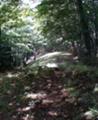 [trail]