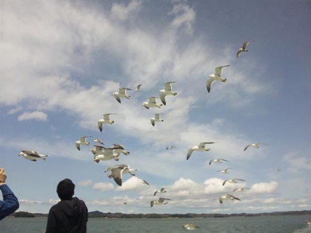 f:id:urano_kazumi:20110503212542j:image:w320