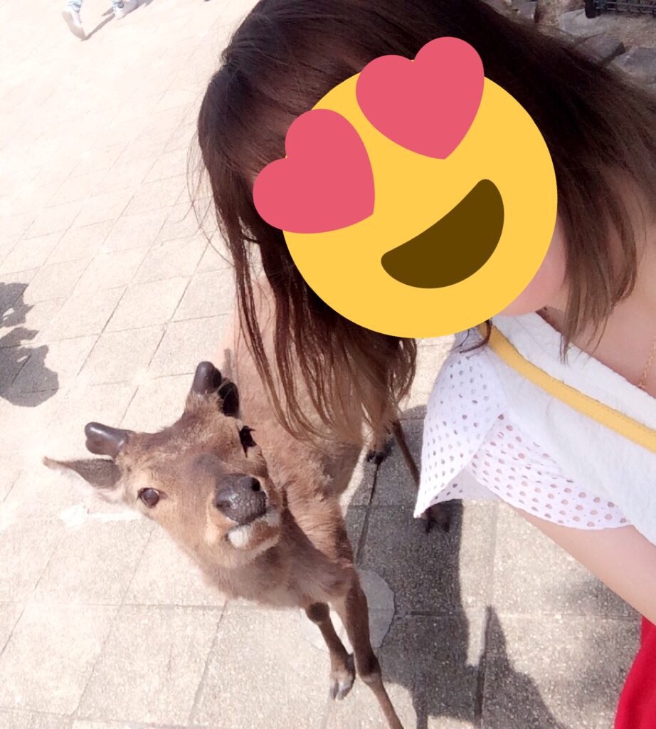 f:id:uraokaya:20170507222804j:image