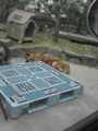 20090324164059