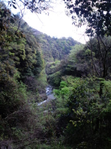 f:id:uraomotenoraneko:20100424151638j:image f:id:uraomotenoraneko:20100424151638j:image