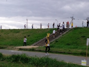 f:id:uraomotenoraneko:20101024124418j:image