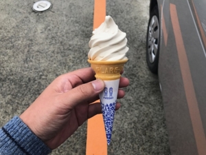 f:id:uraomotenoraneko:20170513115705j:image